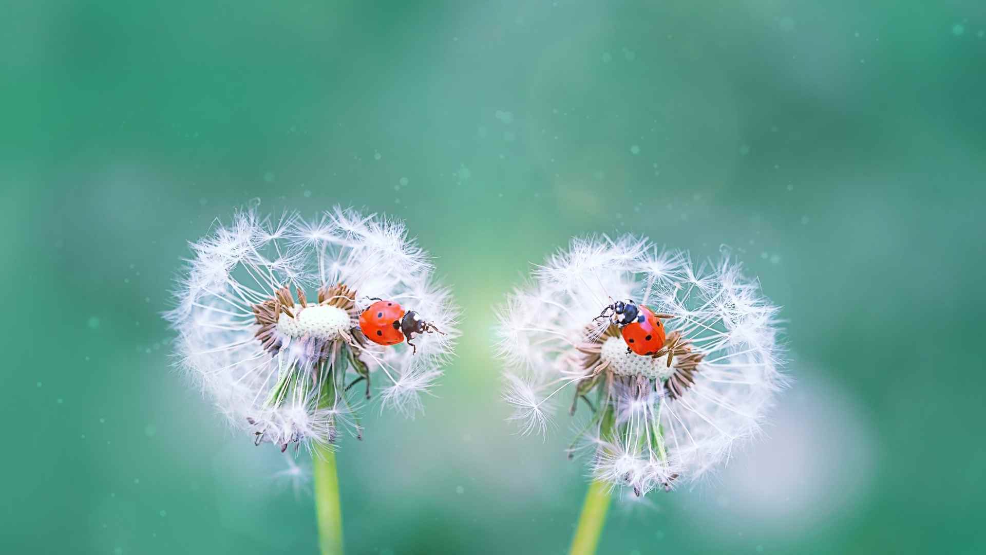Was uns glücklich macht